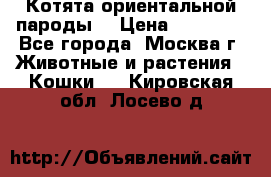 Котята ориентальной пароды  › Цена ­ 12 000 - Все города, Москва г. Животные и растения » Кошки   . Кировская обл.,Лосево д.